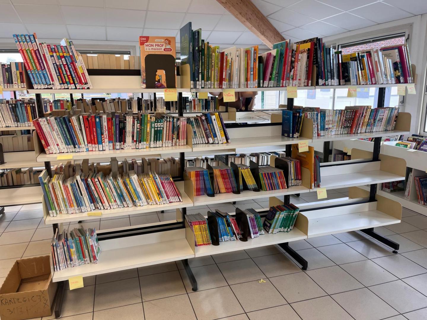 WhatsApp Image 2026-03-11 at 09.01.20 (7).jpeg