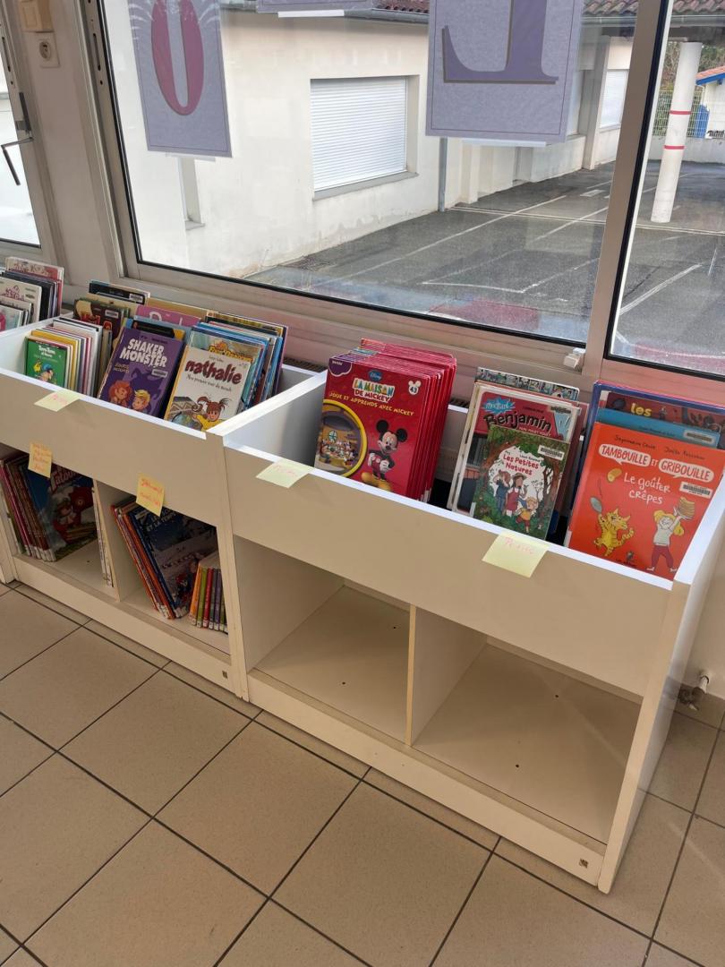 WhatsApp Image 2026-03-11 at 09.01.20 (4).jpeg